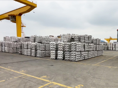 As bobinas de cobre de moldação da tira do metal não ferroso de C12200 C12300 diluem - ASTM murado